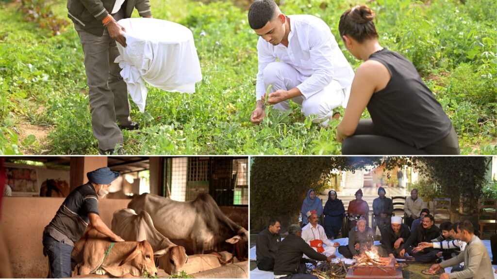 VVAC has several facilities like organic farming, in-house gaushala, yagya treatment as per ailment