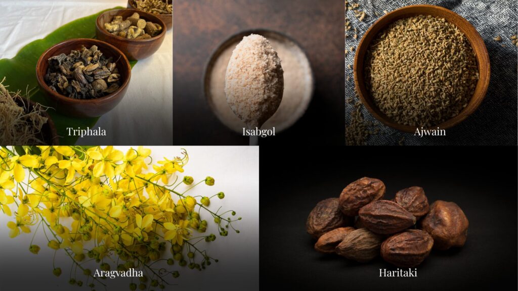 Ayurvedic herbs like Isabgol, Ajwain, Triphala are a part of ayurveda treatment for constipation
