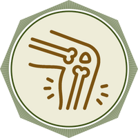 Orthopaedics image vacc