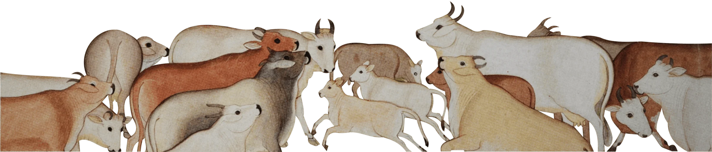 cows-bg-image