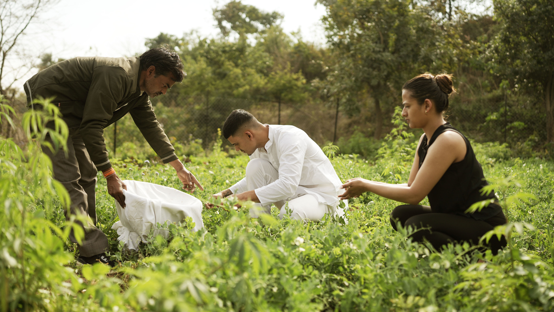 Organic Farming
