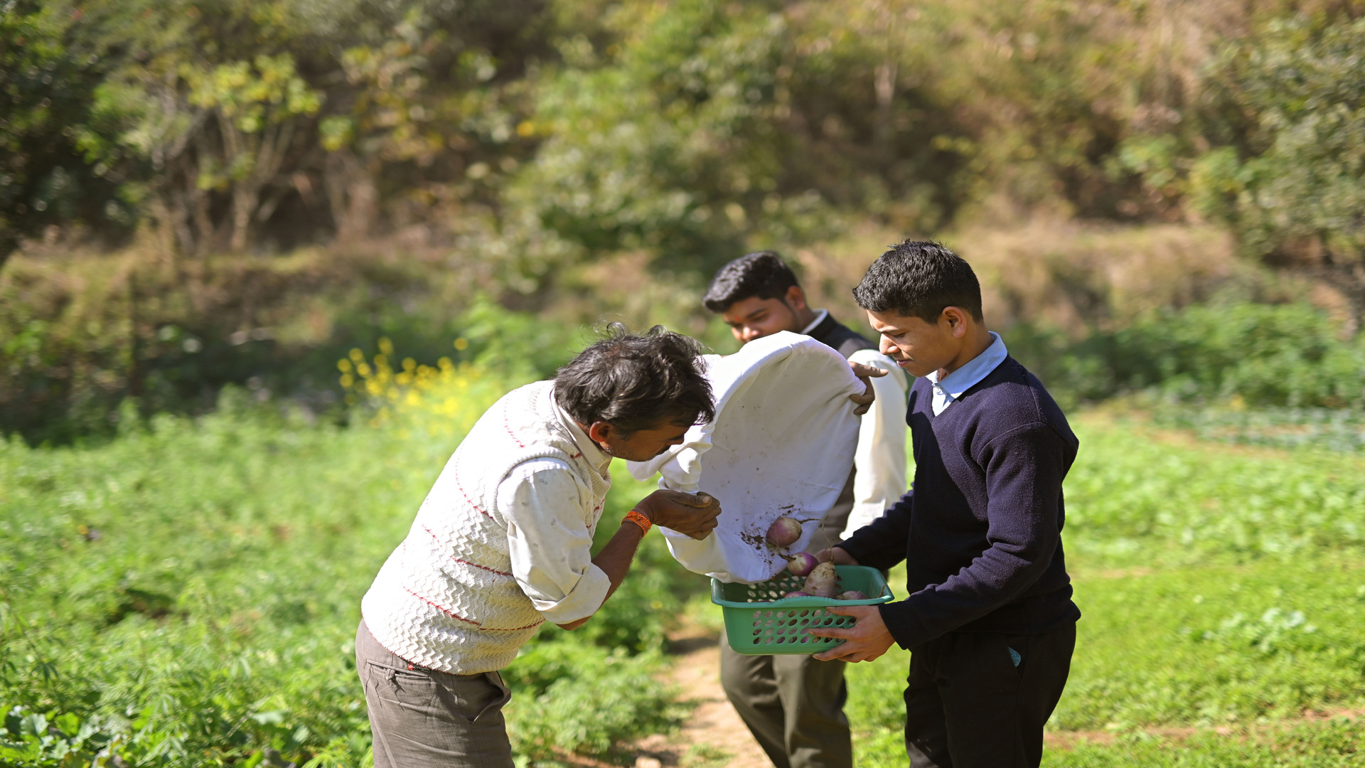 Organic Farming_2