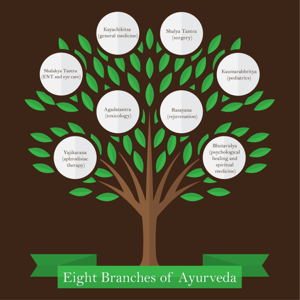 There are eight branches of Ayurveda like toxicology, ENT eye care, Pedicure, and more