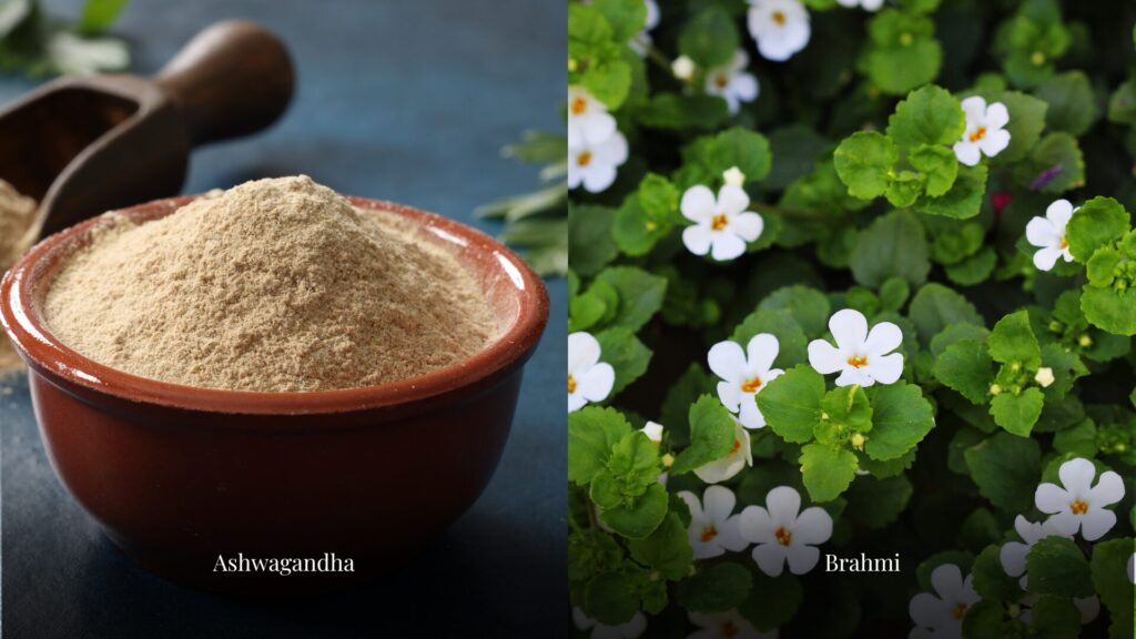 Ashwagandha and Brahmi are two Ayurvedic herbs that melts away Anxiety 