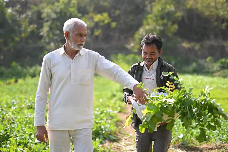 Organic Farming