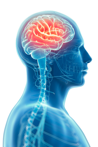 Neurology
